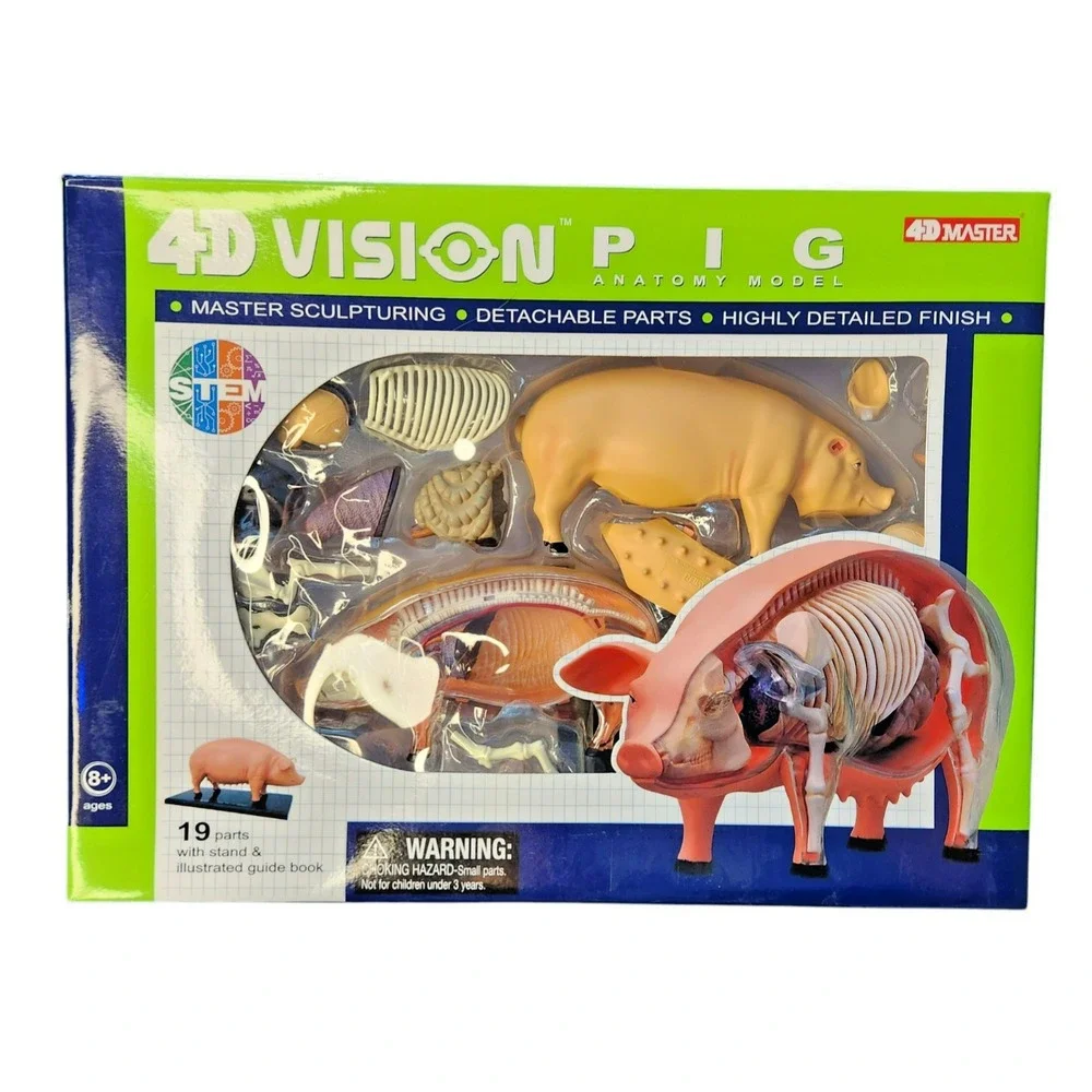4D Vision Pig‎ Anatomy Model